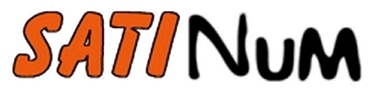 Satinum Logo